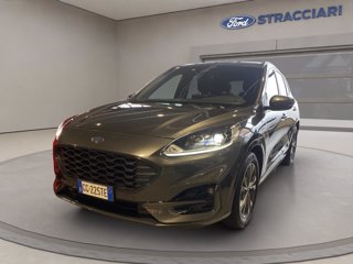 FORD Kuga 1.5 ecoblue ST-Line 2wd 120cv