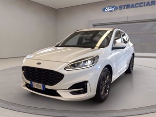 FORD Kuga 1.5 ecoblue ST-Line 2wd 120cv